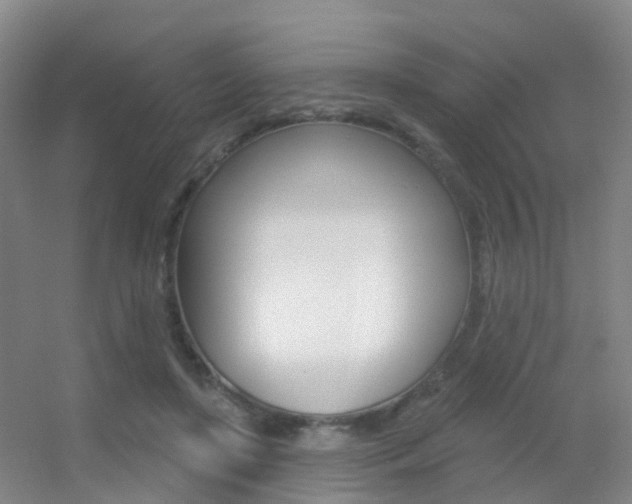 X0000055520451200508120826