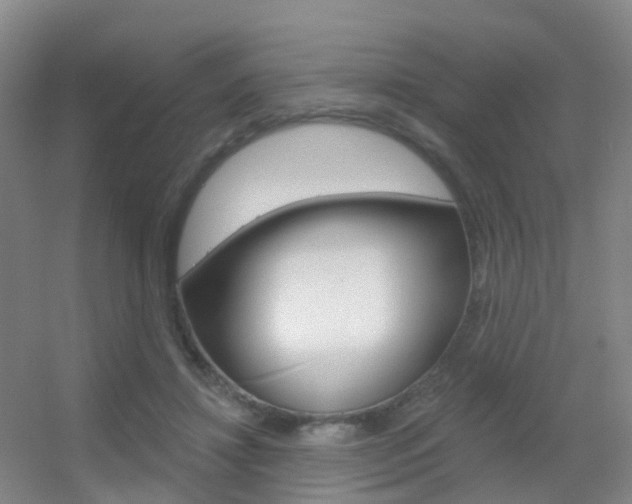 X0000055520452200508120826