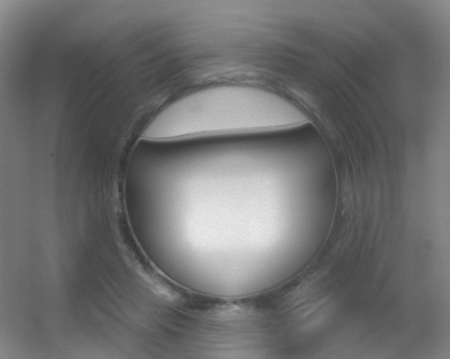 X0000055520453200508120826