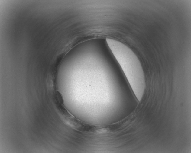 X0000055520456200508120826