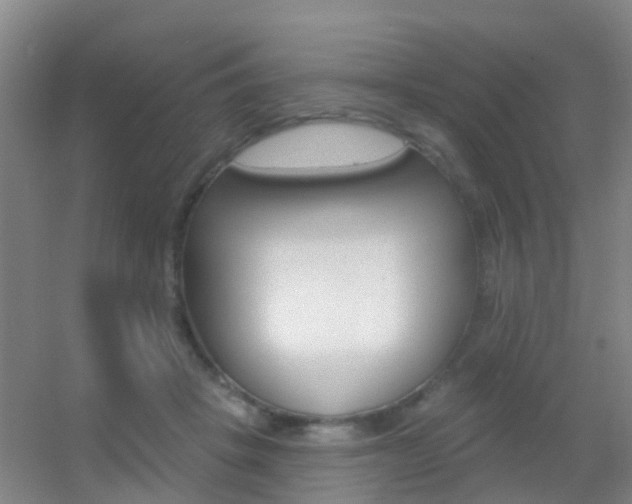 X0000055520457200508120826