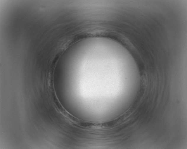 X0000055520458200508120826