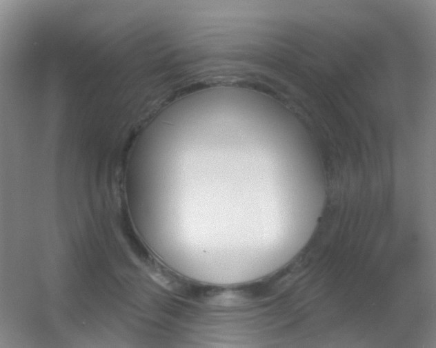 X0000055520460200508120826