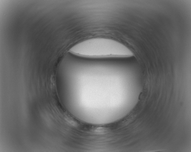 X0000055520467200508120826