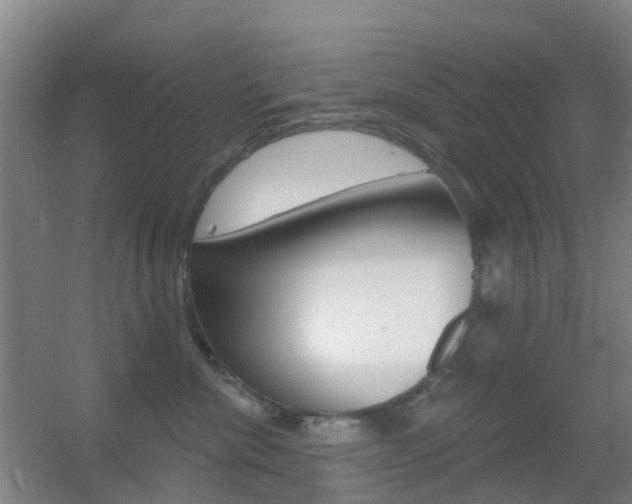 X0000055520476200508120826