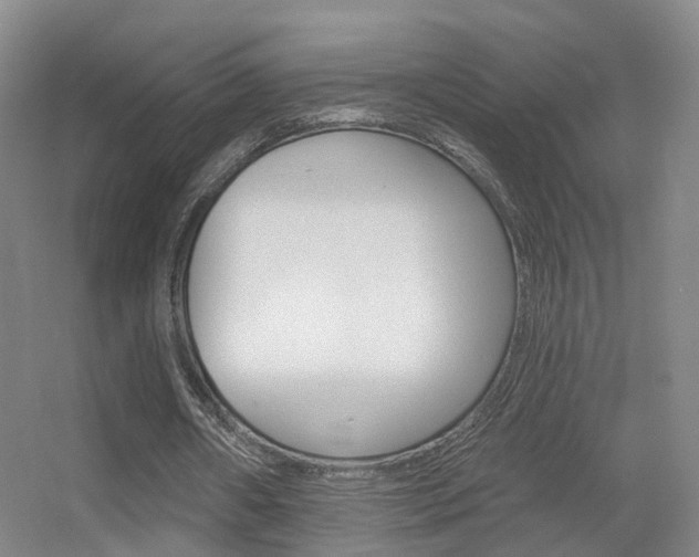 X0000055520482200508120826