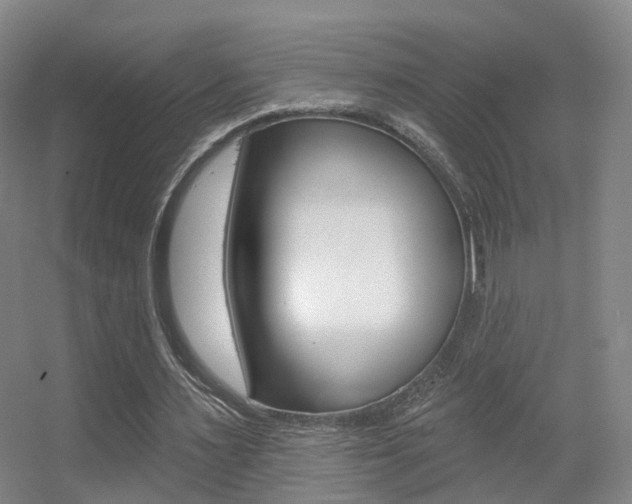 X0000055520483200508120826