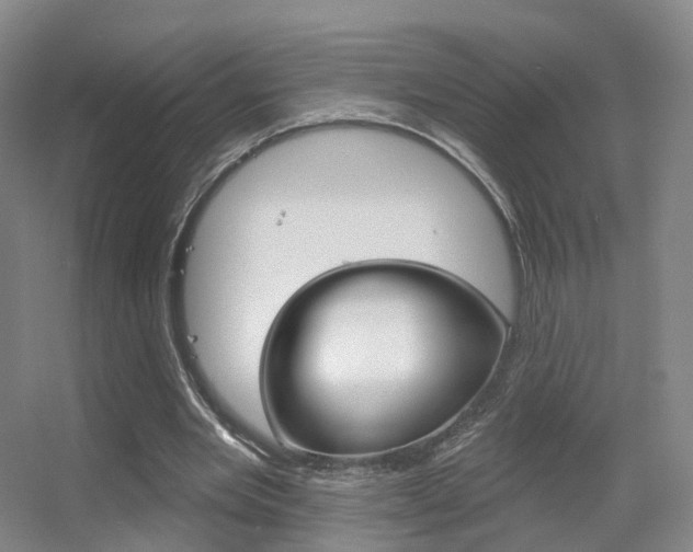 X0000055520485200508120826