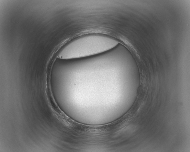 X0000055520486200508120826