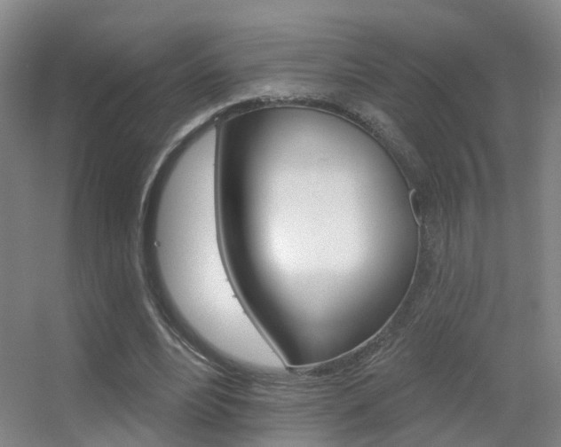 X0000055520488200508120826