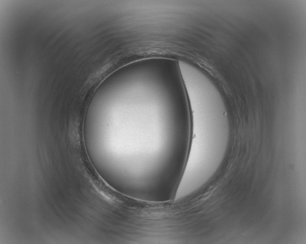 X0000055520489200508120825