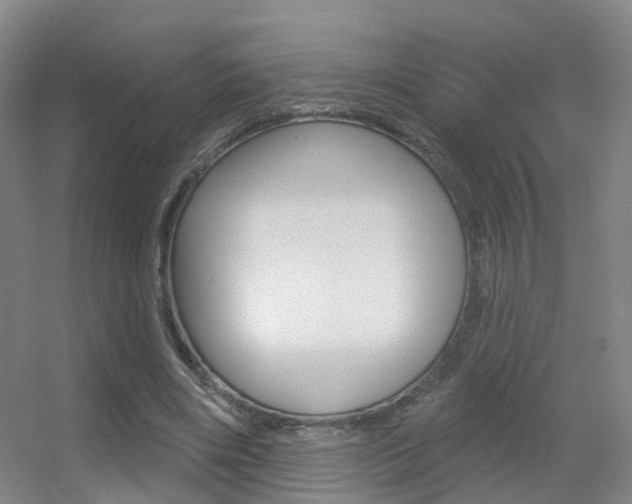 X0000055520490200508120825