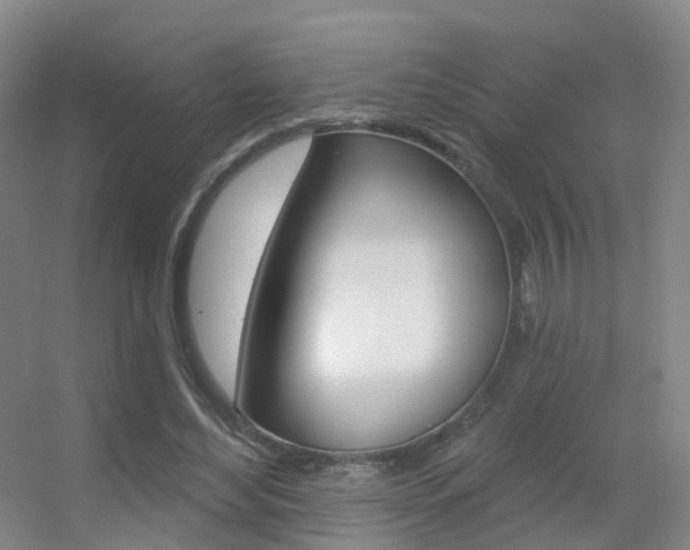 X0000055520492200508120825