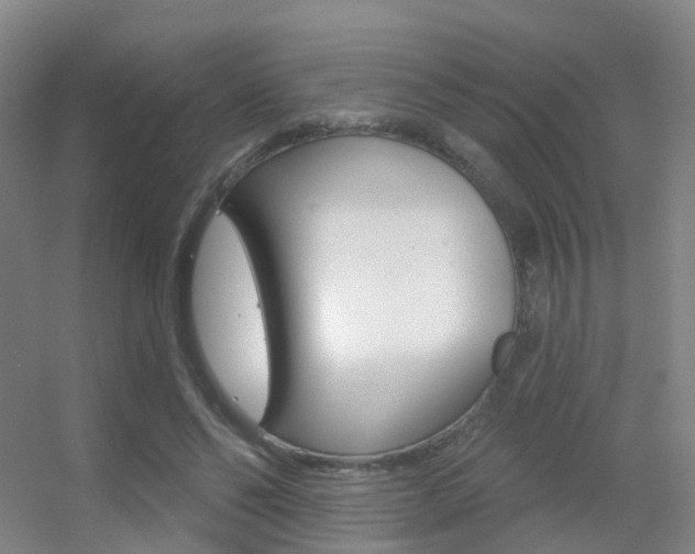 X0000055520494200508120825