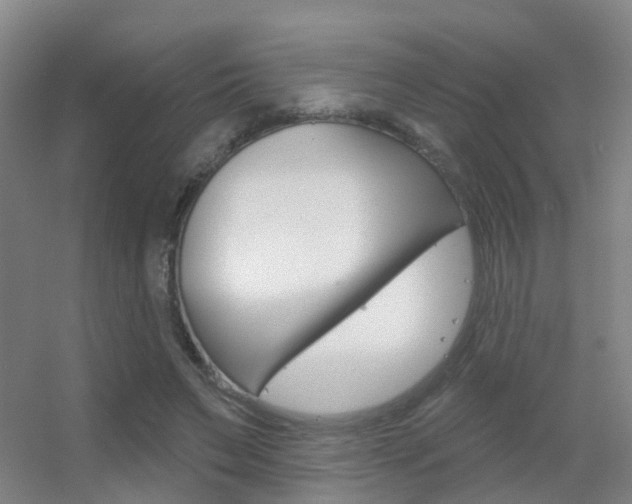 X0000055520495200508120825