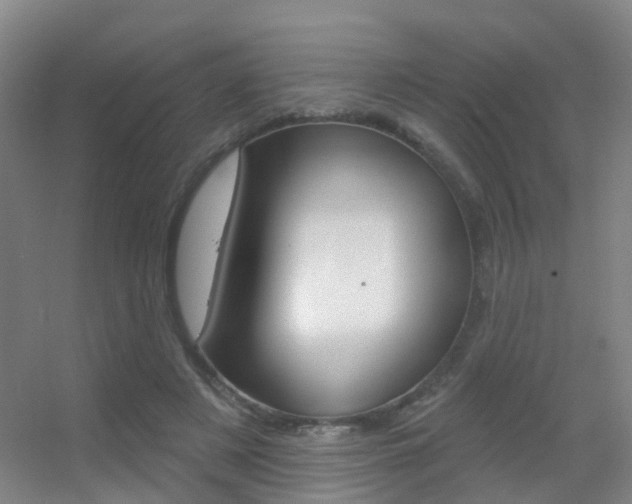 X0000055520497200508120825