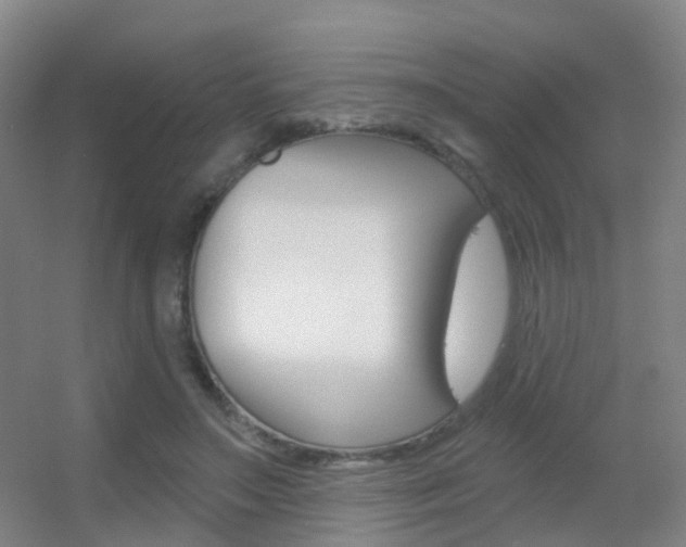 X0000055520499200508120825