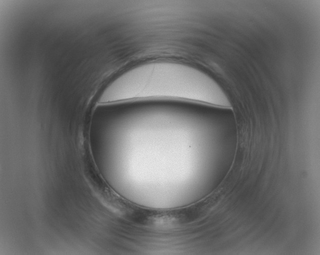 X0000055520500200508120825
