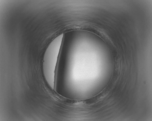 X0000055520505200508120825