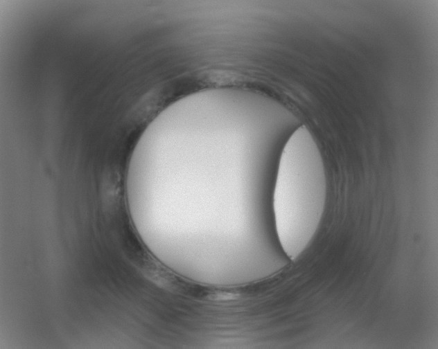 X0000055520507200508120825