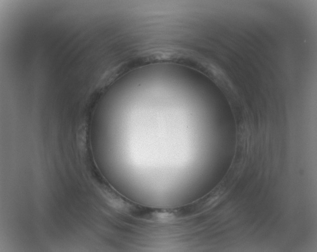 X0000055520509200508120825