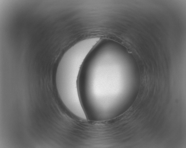 X0000055520512200508120825