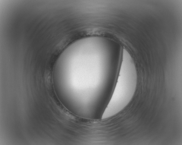 X0000055520513200508120825