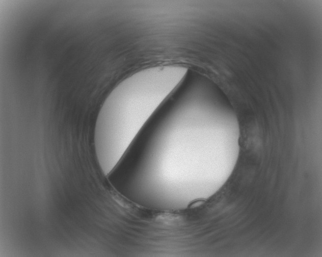 X0000055520515200508120825