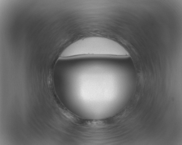 X0000055520517200508120825