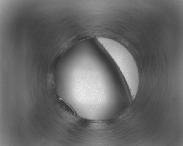 X0000055520521200508120825