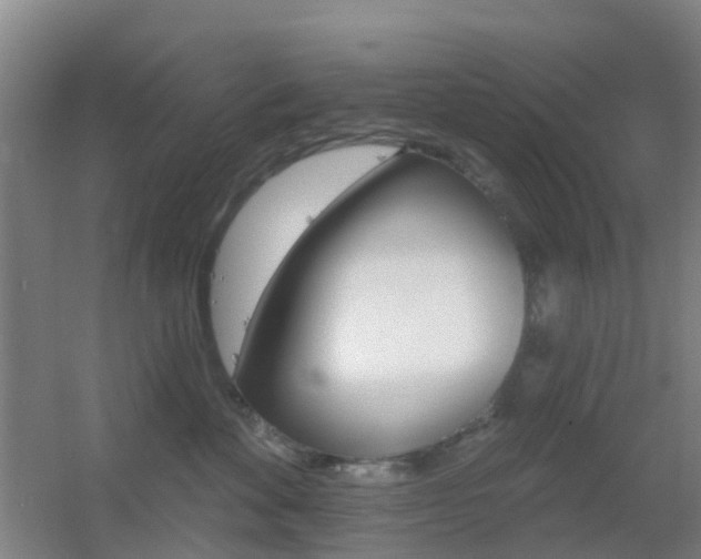 X0000055520524200508120825