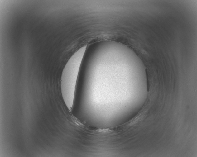 X0000055520528200508120825