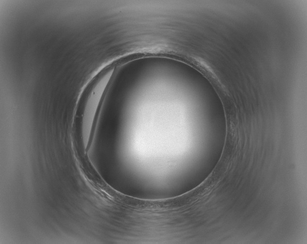 X0000055520532200508120824
