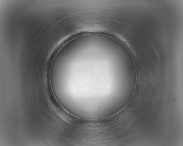 X0000055520535200508120824