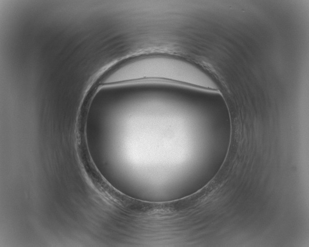 X0000055520536200508120824