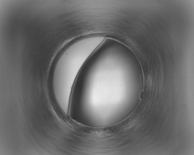 X0000055520540200508120824