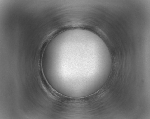 X0000055520542200508120824