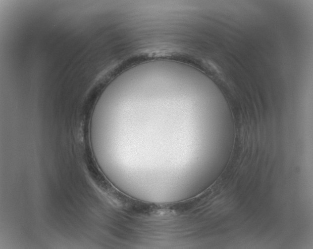 X0000055520543200508120824