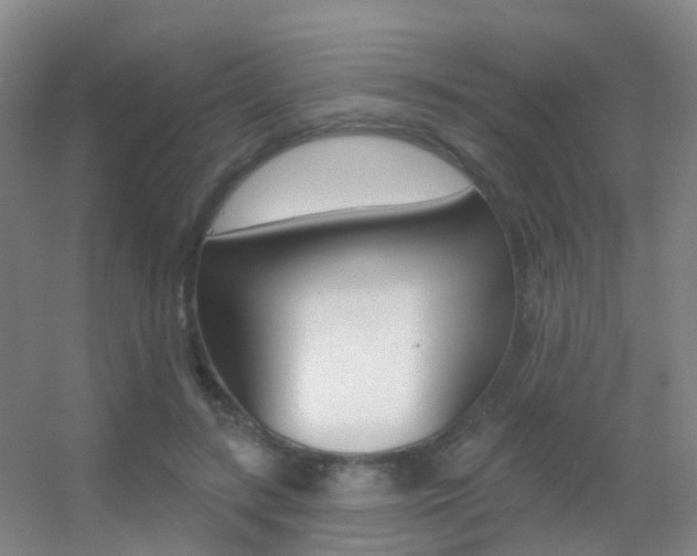 X0000055520547200508120824