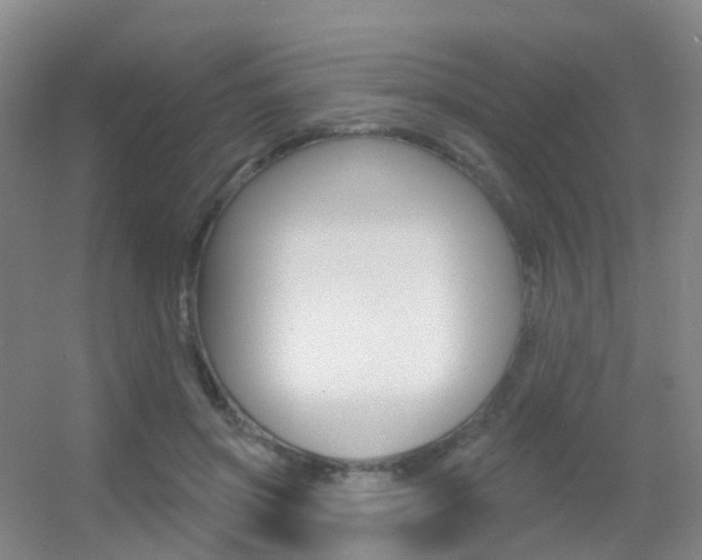 X0000055520549200508120824