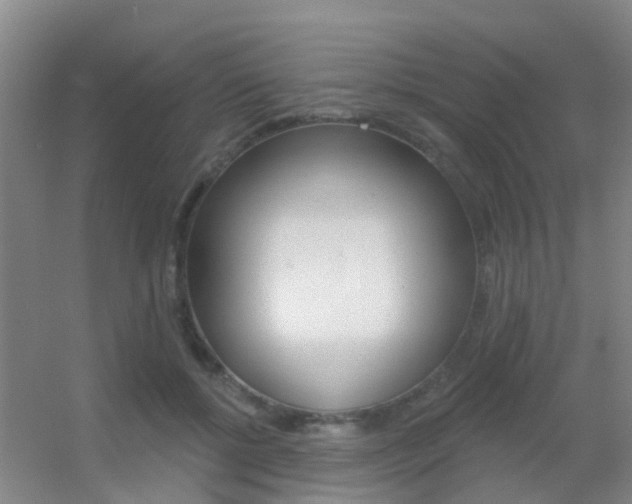 X0000055520552200508120824