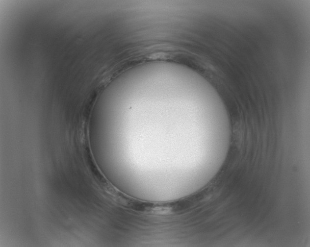 X0000055520554200508120824