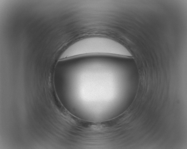 X0000055520556200508120824