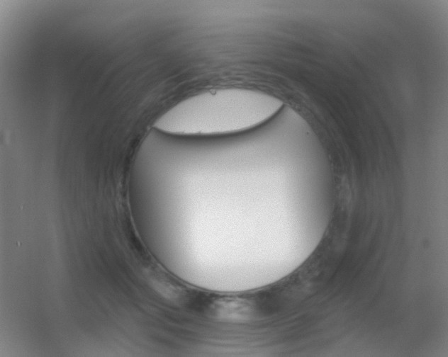 X0000055520557200508120824