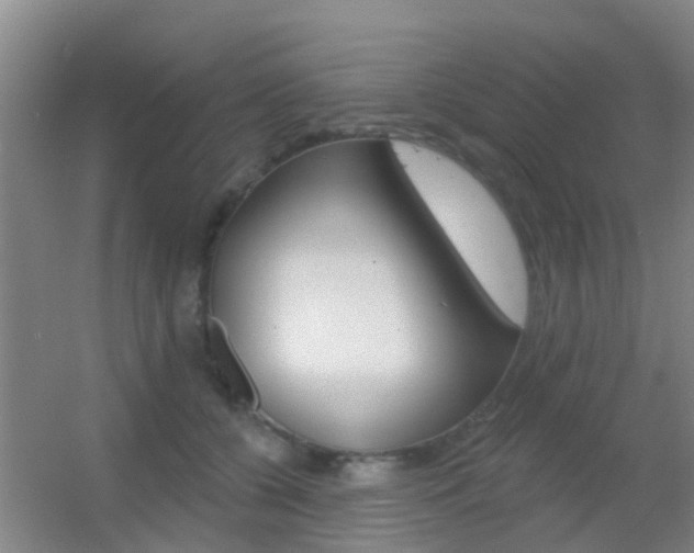 X0000055520560200508120825