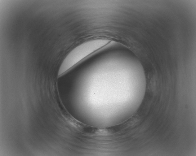 X0000055520562200508120825