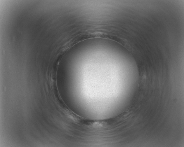 X0000055520566200508120825