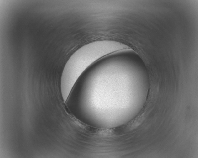 X0000055520576200508120825