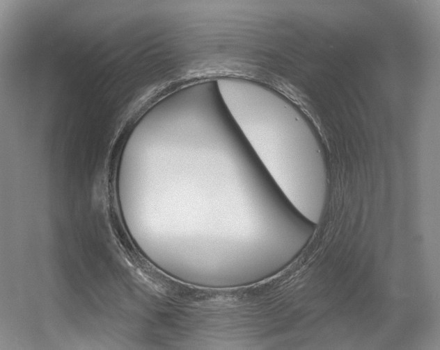X0000055520578200508120824