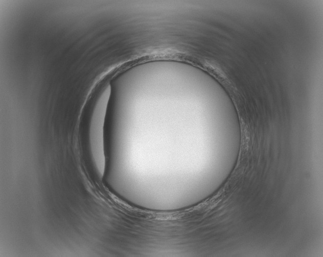 X0000055520583200508120824